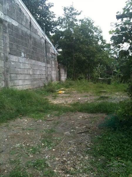 Residential Lot for sale in Tayabas in Quezon - image
