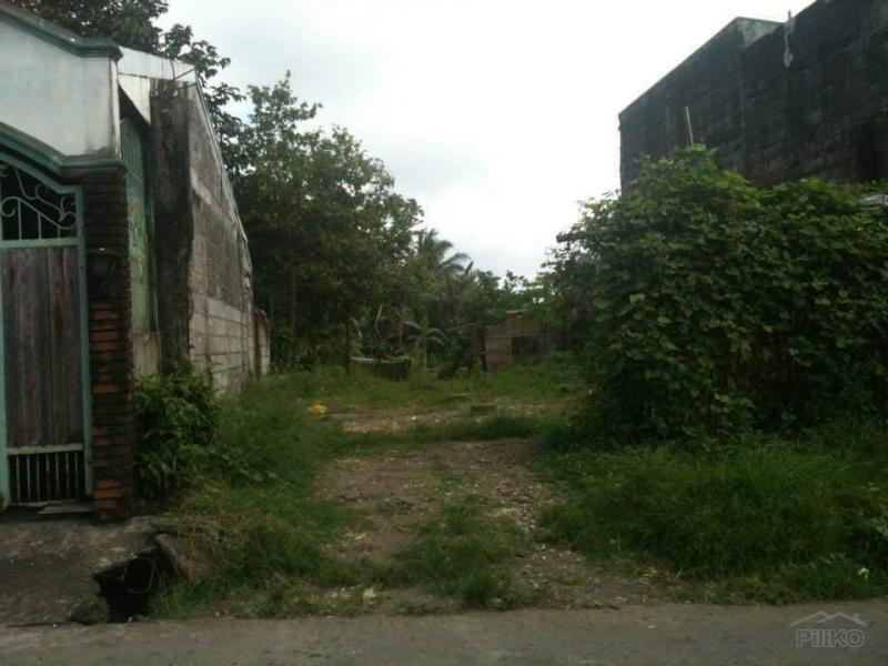 Residential Lot for sale in Tayabas in Philippines - image