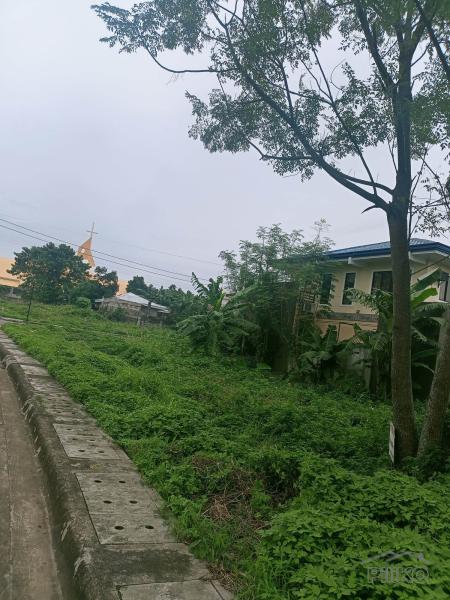 Residential Lot for sale in Lapu Lapu in Cebu - image