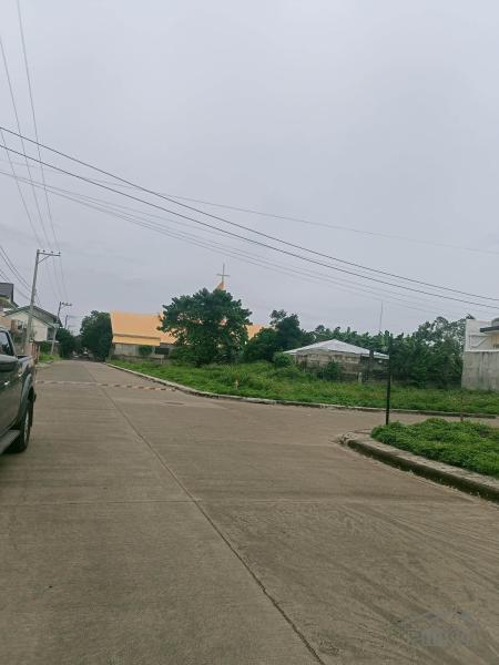 Residential Lot for sale in Lapu Lapu - image 9