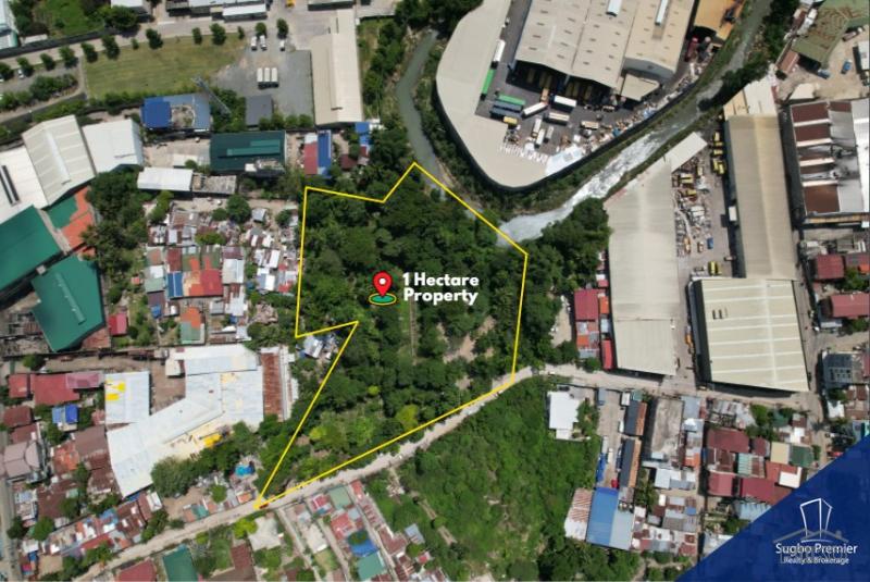 Picture of Residential Lot for sale in Mandaue
