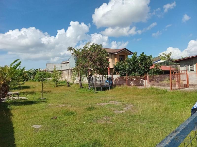Commercial Lot for sale in Lapu Lapu - image 3