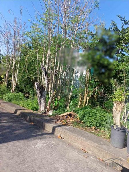 Residential Lot for sale in Cebu City
