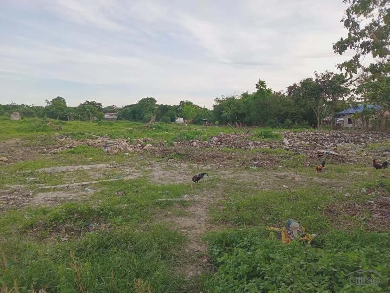 Picture of Commercial Lot for sale in Lapu Lapu
