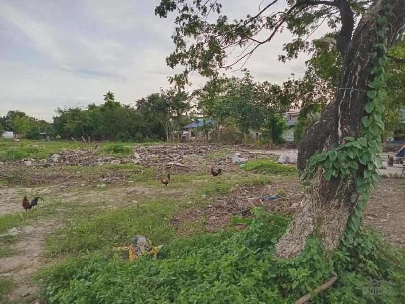Commercial Lot for sale in Lapu Lapu in Philippines