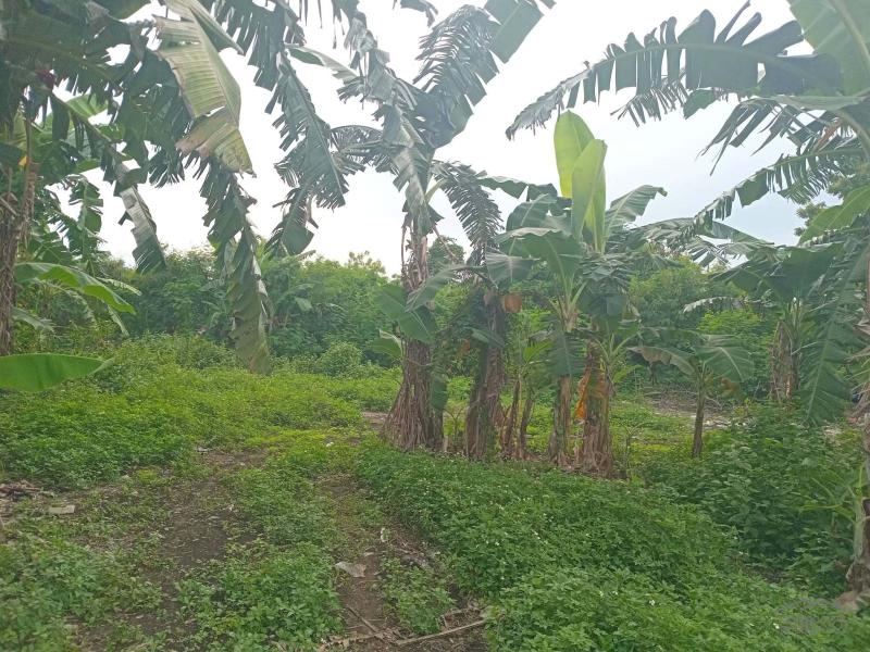 Lot for sale in Lapu Lapu - image 3