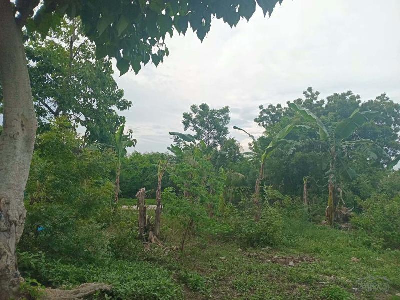 Lot for sale in Lapu Lapu - image 5