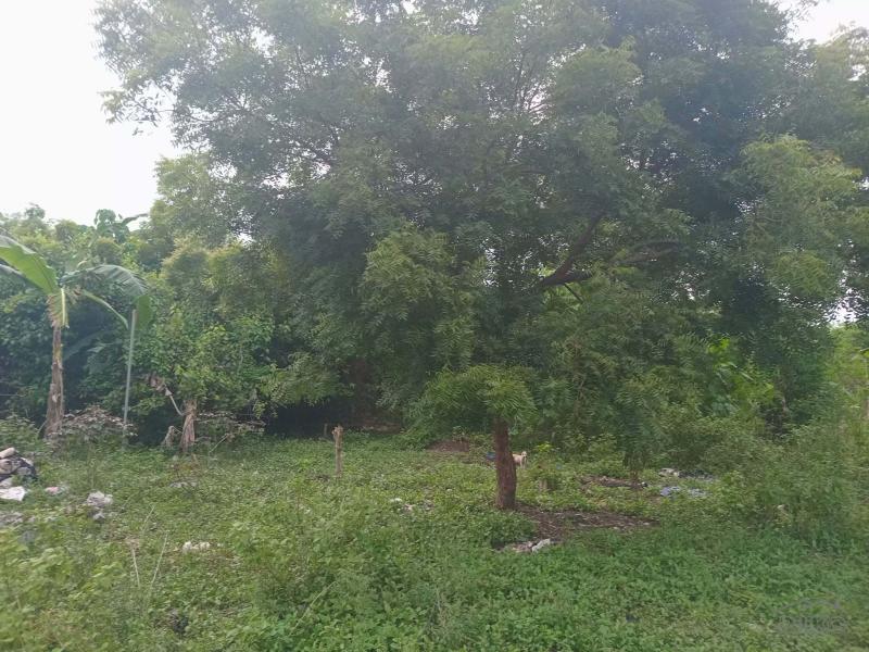 Lot for sale in Lapu Lapu - image 6