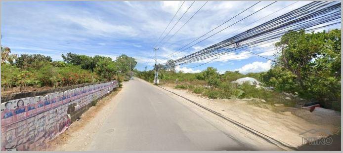 Lot for sale in Lapu Lapu - image 9