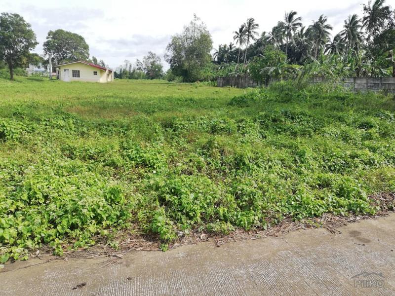 Picture of Residential Lot for sale in Indang