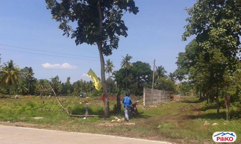 Pictures of Residential Lot for sale in Island Garden City of Samal