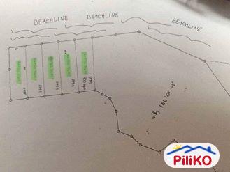 Pictures of Residential Lot for sale in Island Garden City of Samal