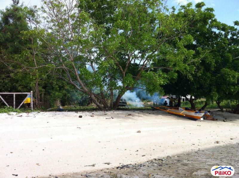 Agricultural Lot for sale in Island Garden City of Samal 454163 Photo 2