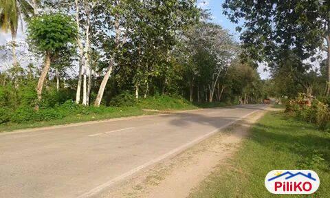Residential Lot for sale in Island Garden City of Samal
