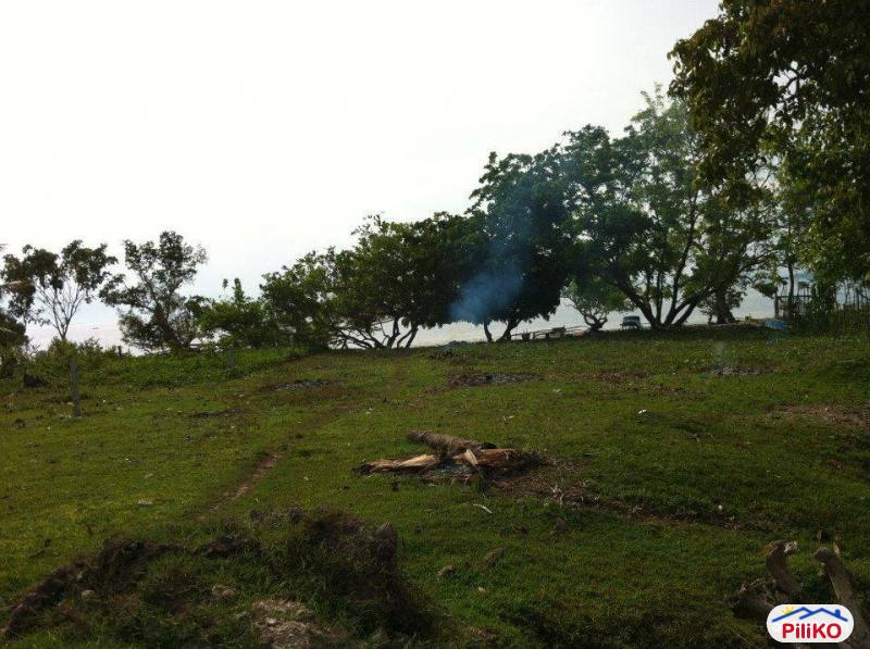 Agricultural Lot for sale in Island Garden City of Samal - image 3