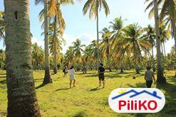 Residential Lot for sale in Island Garden City of Samal - image 3