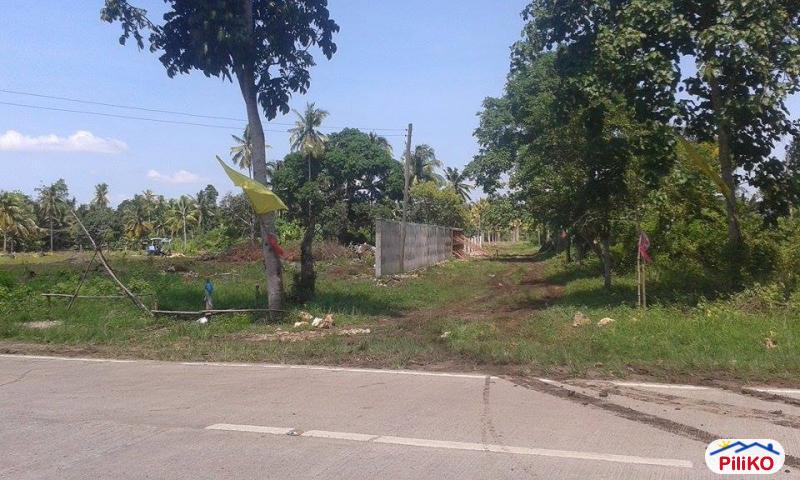 Residential Lot for sale in Island Garden City of Samal in Davao del Norte