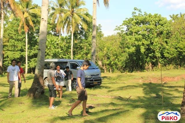 Residential Lot for sale in Island Garden City of Samal - image 4