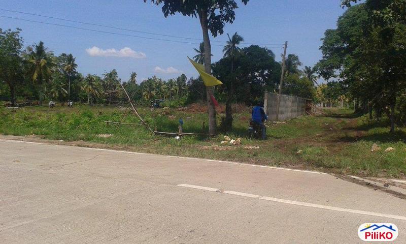 Residential Lot for sale in Island Garden City of Samal in Philippines