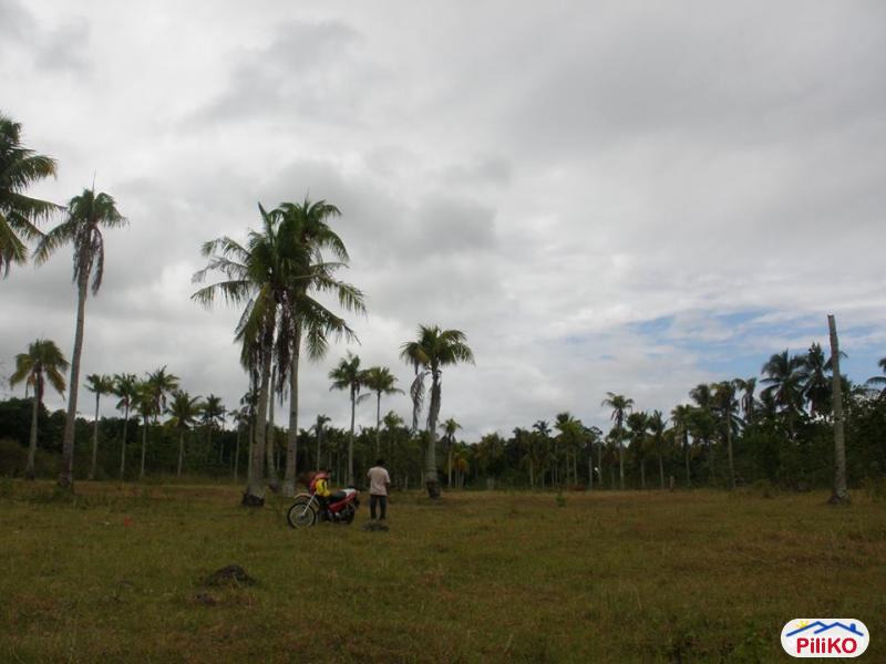 Picture of Residential Lot for sale in Island Garden City of Samal in Davao del Norte