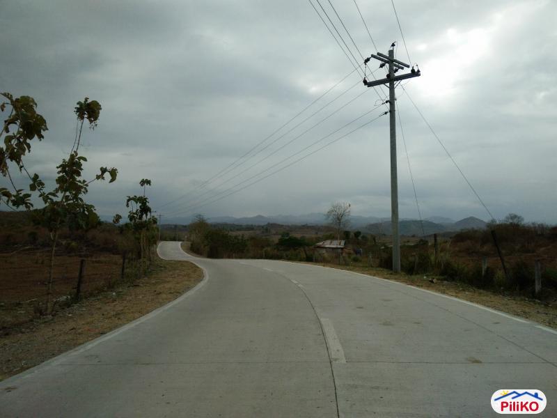 Agricultural Lot for sale in San Jose - image 10