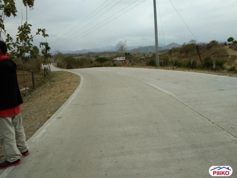 Agricultural Lot for sale in San Jose - image 11