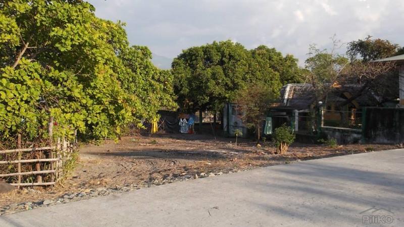 Residential Lot for sale in Cabangan - image 11
