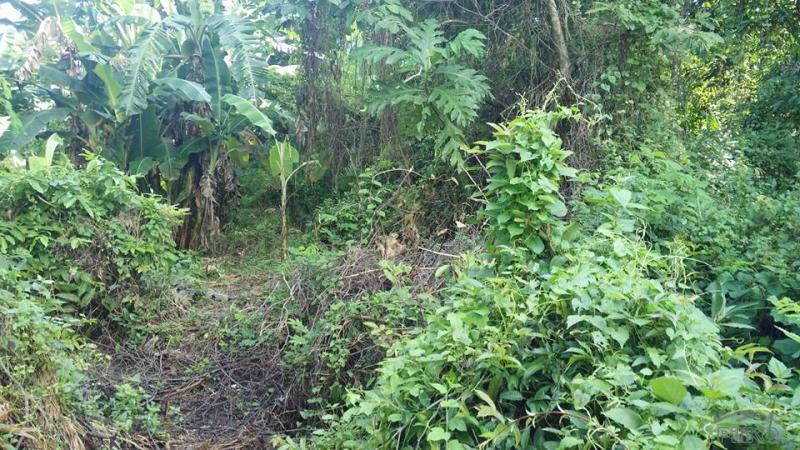 Land and Farm for sale in Botolan - image 11