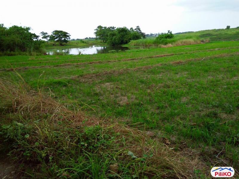 Agricultural Lot for sale in San Jose - image 12