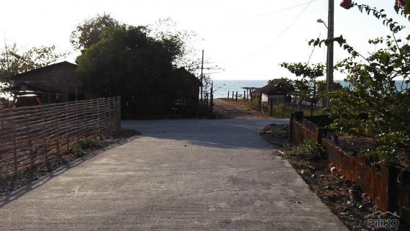 Residential Lot for sale in Cabangan - image 10