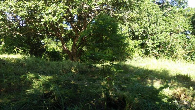 Land and Farm for sale in Botolan - image 12