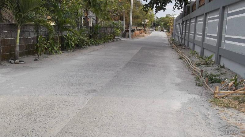Residential Lot for sale in Cabangan - image 11