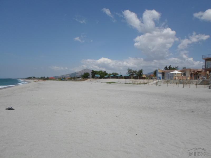 Residential Lot for sale in Cabangan - image 17