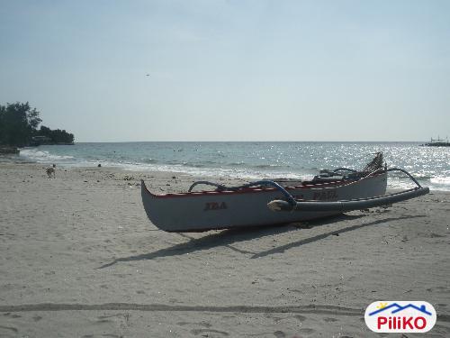 Pictures of Agricultural Lot for sale in Iba