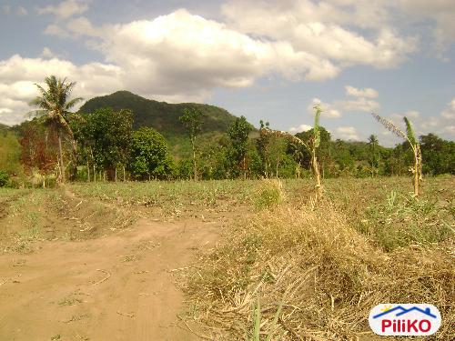 Picture of Agricultural Lot for sale in Nasugbu