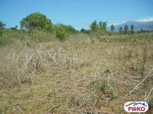 Picture of Agricultural Lot for sale in Iba