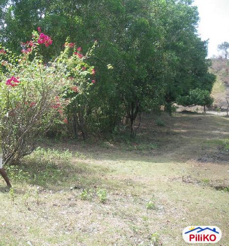 Picture of Agricultural Lot for sale in Cabangan