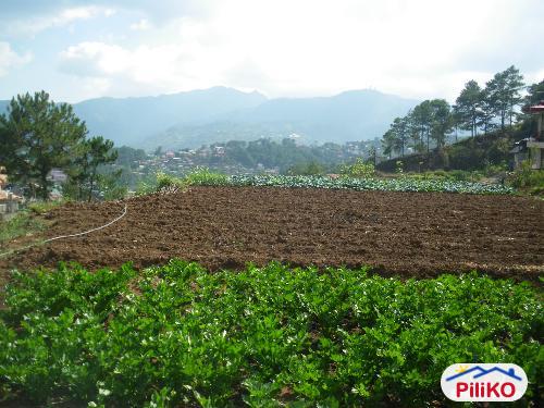 Pictures of Residential Lot for sale in Baguio