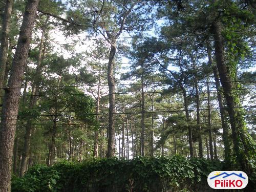 Picture of Hotel for sale in Baguio