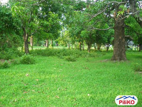 Picture of Agricultural Lot for sale in Botolan