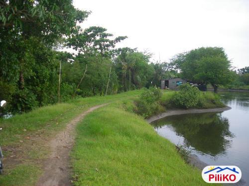 Picture of Agricultural Lot for sale in Iba