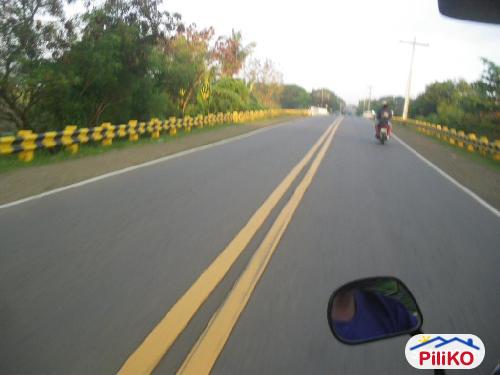 Picture of Agricultural Lot for sale in Iba