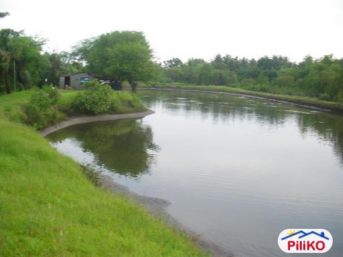 Pictures of Other lots for sale in Iba