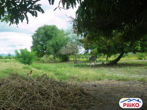 Picture of Agricultural Lot for sale in San Antonio
