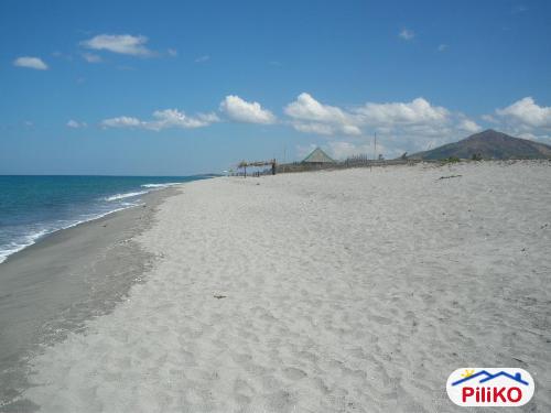 Pictures of Commercial Lot for sale in Cabangan