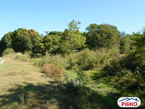 Pictures of Agricultural Lot for sale in Botolan