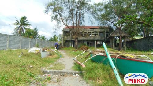 Pictures of Agricultural Lot for sale in Iba