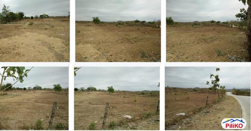 Picture of Agricultural Lot for sale in San Jose