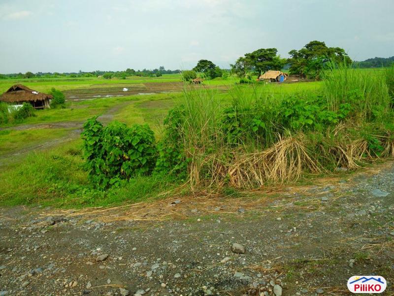 Picture of Agricultural Lot for sale in Capas
