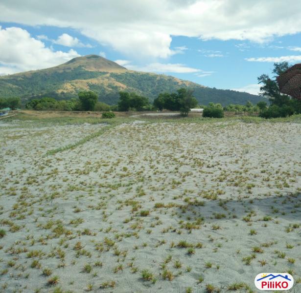 Picture of Agricultural Lot for sale in Botolan